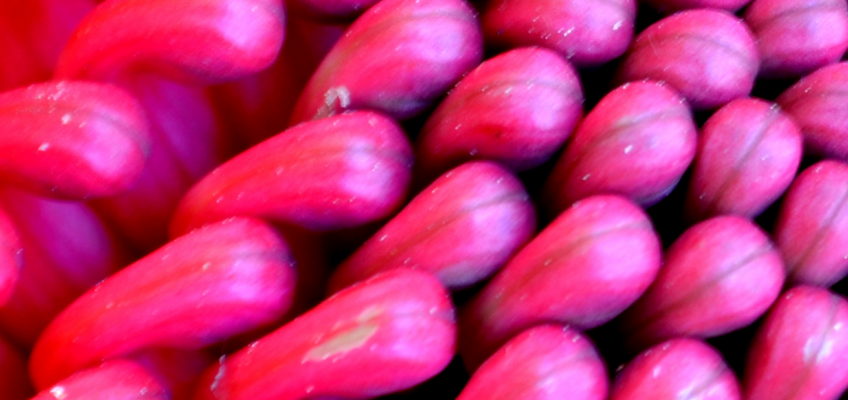 On finding self-awareness and self-love with the aid of tantra workshops and the policy of yes, by Dr Rebecca Stafford aka Dr Habit