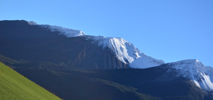 Need more self-control? Here’s a 3:42 minute willpower booster.