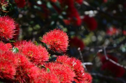 Imago relationship therapy is a simple & powerful habit that can restore intimacy and love and save relationships