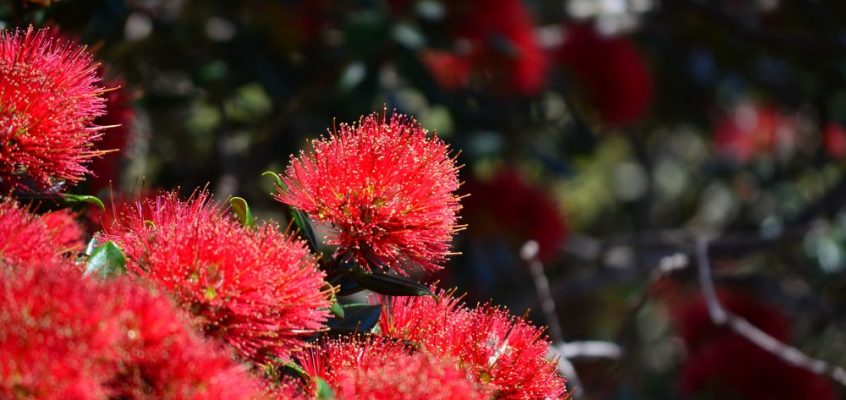 A habit that saves relationships (& the goss on my new-ish man)