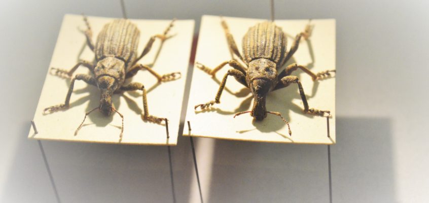 Procrastination is a phobia – and can be cured like one