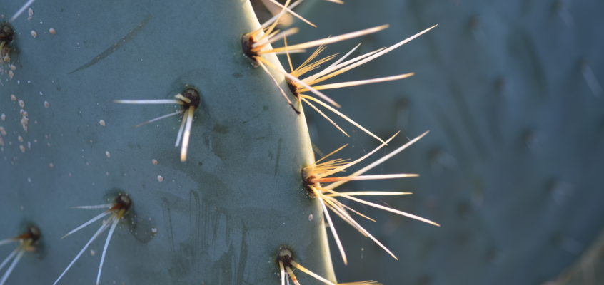 As a child, were you shamed for crying?