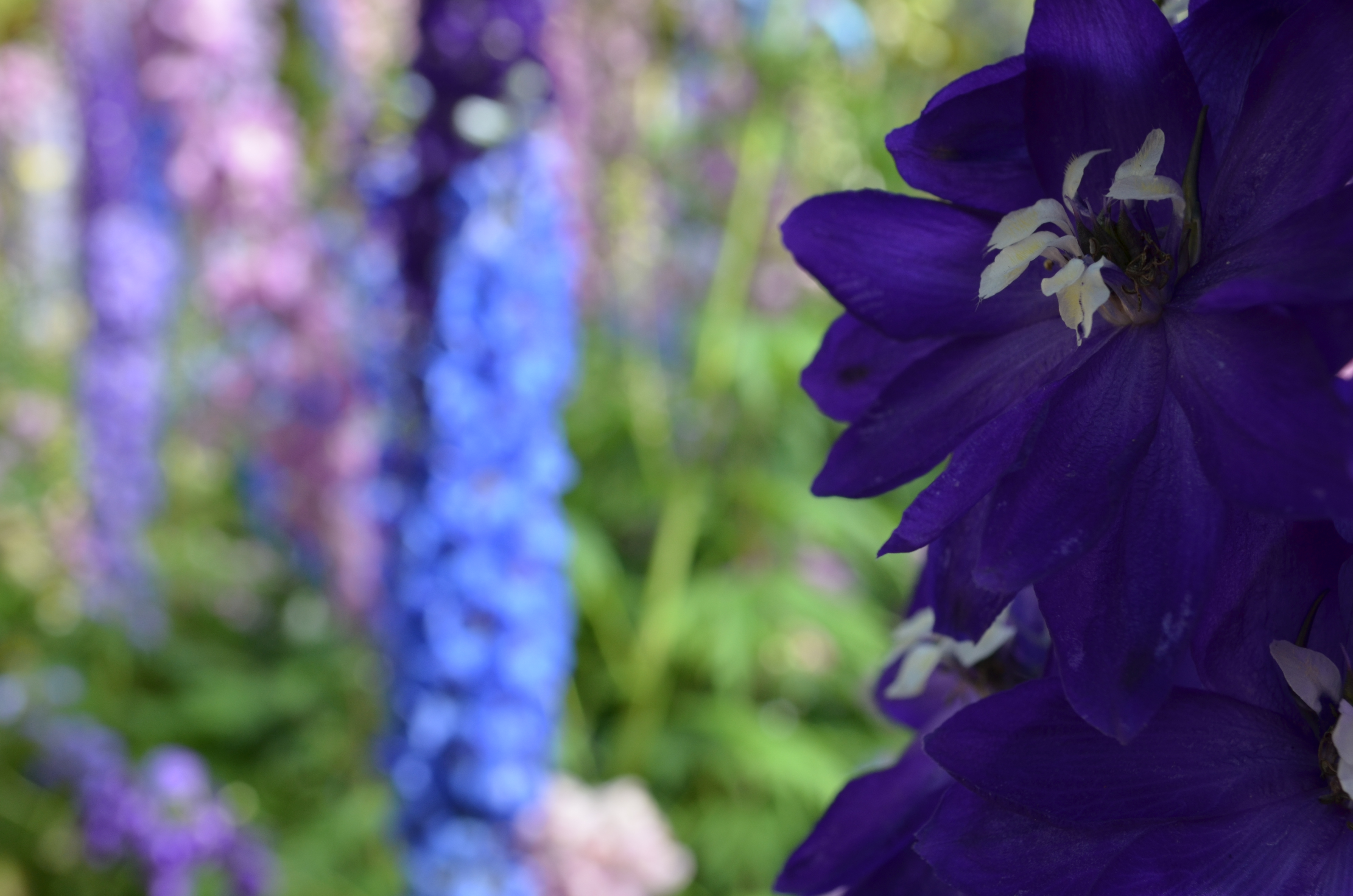 I decided NOT to kill myself after talking to you [aka the greatest gift of all]