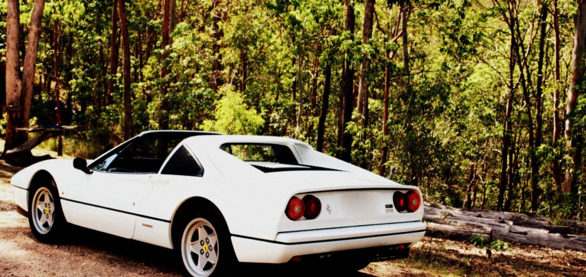 I wanted a trophy boyfriend