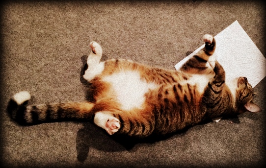 [1 minute psychology] There’s no such thing as laziness