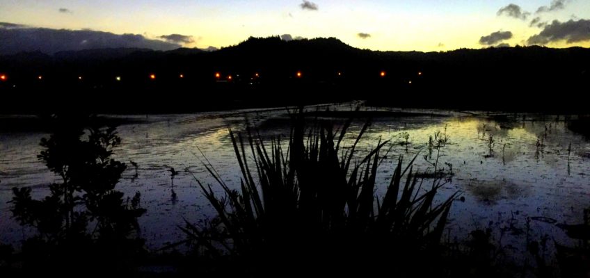 anxiety success failure procrastination self-sabotage