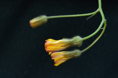 Support overcoming our procrastination and self-sabotage habits can come from the unlikeliest places.