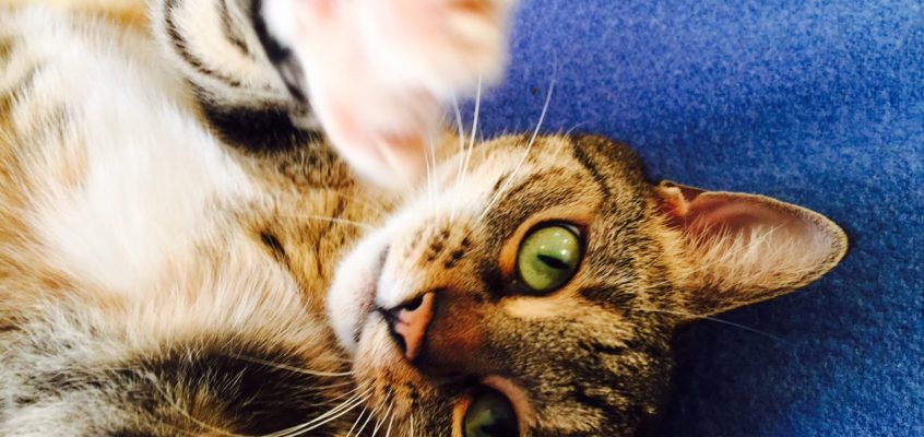 What would a German do? (aka how to work less and get more done)